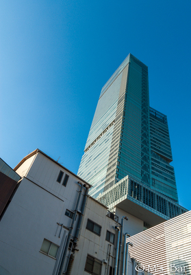 DSC_7220-2.jpg