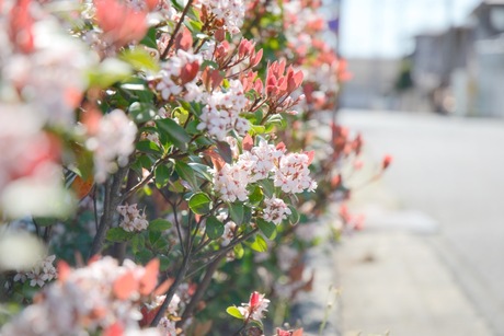 IMG_9529.jpeg