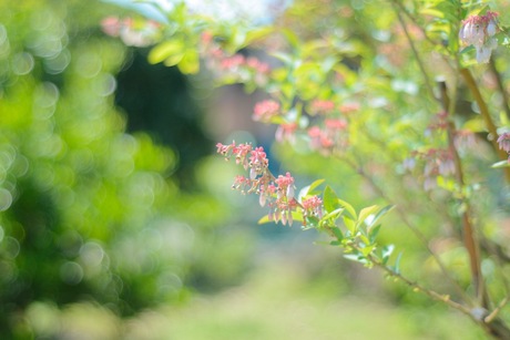 IMG_9552.jpeg